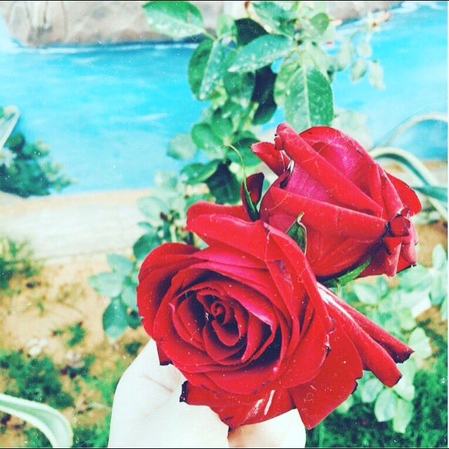 z7nc3's tweet image. 