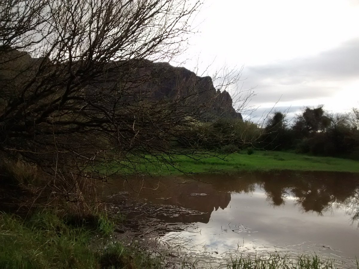 A few weeks back. Tons of water along #Massacrefalls #hike. This was used to catch water for cattle.