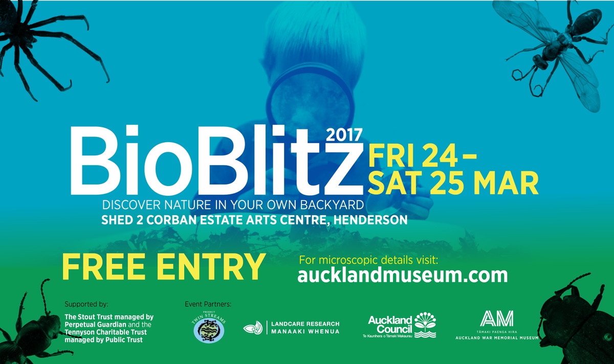 tempauckland's tweet photo. #Bioblitz2017, this weekend at @Corban_Estate https://t.co/pGGTh69YBP
