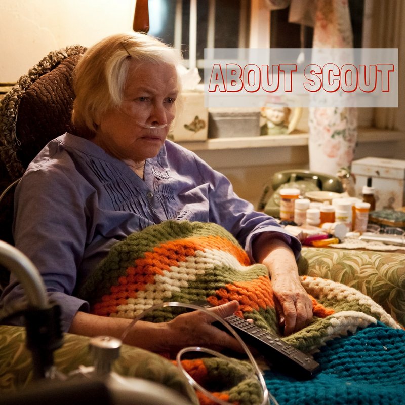 ScoutMovie's tweet photo. Don’t miss #EllenBurstyn in About Scout this Saturday 3/25 at 8:30pm during #LAWomensFest. https://t.co/k2apILOfi0 https://t.co/fJtjoPf7qU