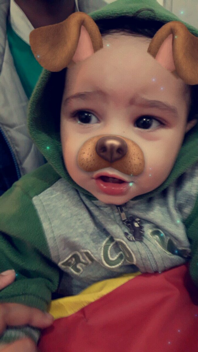 Jenifferdamass's tweet photo. (+3) Porque a beleza dele permite, já viu cachorrinho mais lindo? 💙😍 https://t.co/mHygAjPuqb