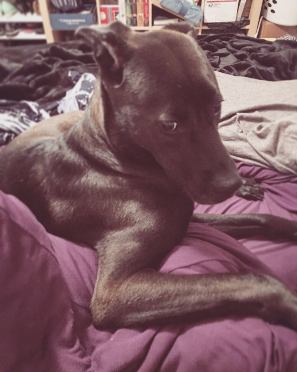 EnaBuns's tweet photo. Oso flexin on the looming Monday. #byebyeSunday https://t.co/RwAI1jhfZo