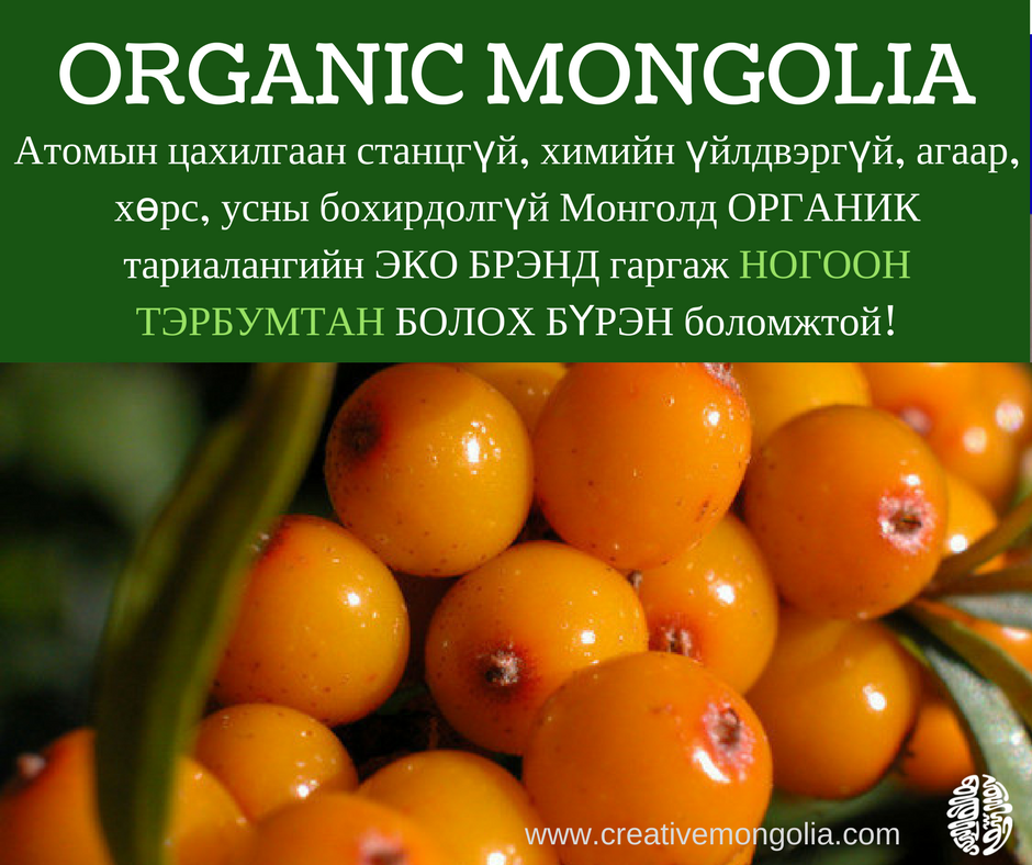 Атомын цахилгаан станцгүй, химийн үйлдвэргүй, агаар, хөрс, усны бохирдолгүй Монголд БРЭНД гаргаж НОГООН ТЭРБУМТАН болох боломжтой