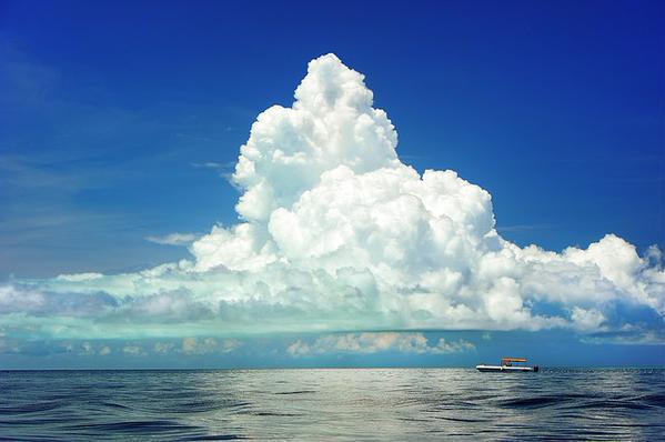 MartinAButters's tweet photo. 5 of the Best Cloud Blogs to Bookmark: https://t.co/ZCquNQEk7K  #CloudBlogs #CloudTech https://t.co/J4G9iH2td6