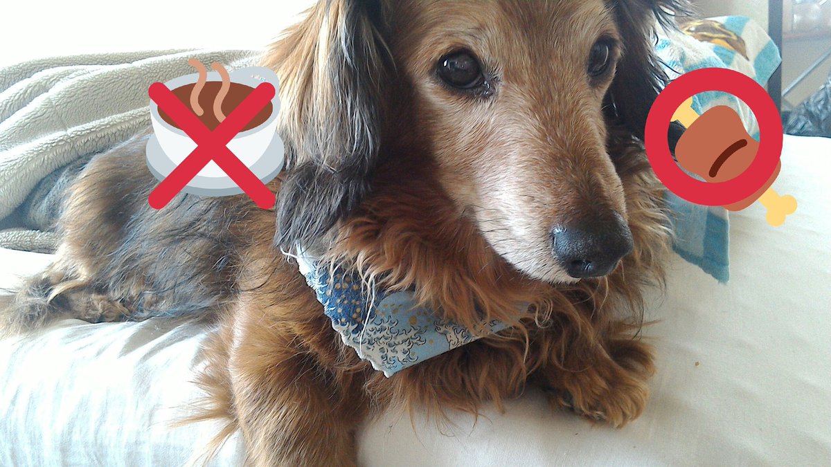 コーヒースタンドイーズ ハイ ブラジル イエローブルボンの日陰げ干しの深煎り 焼き上がりましたよ ノ お客様なご注文ですが 意外とファンが多い珈琲豆です コーヒーチェリーの粘膜付けたまま じっくり日陰げで乾燥させたので 甘みが