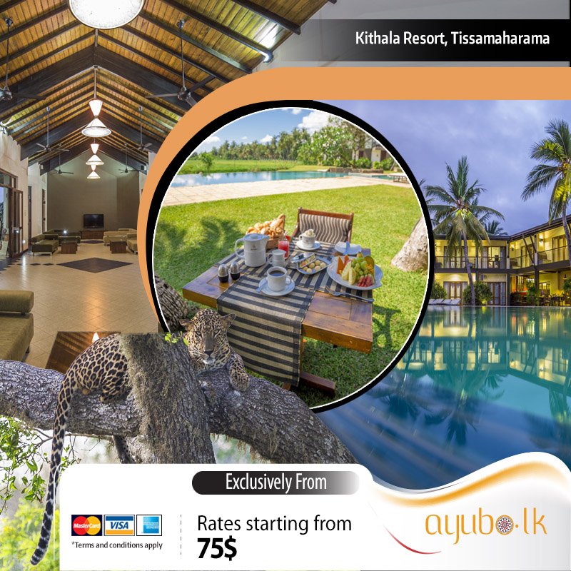 LkAyubo's tweet photo. A #great #hotel in #beautiful #surroundings! – #Kithala #Resort, #Tissamaharama
 #visit - https://t.co/oWdAHUZJLE 
 #Yala #ayubotravel https://t.co/n0lfXwgdjw