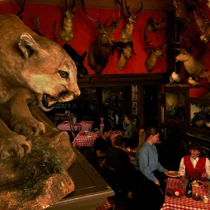 Yaaaaas!! Thank you for the reccomendation @westerndaughters I am so f*ing pumped. <a href="/buckho/">Timothy Adams</a>… ift.tt/2mZgLwy