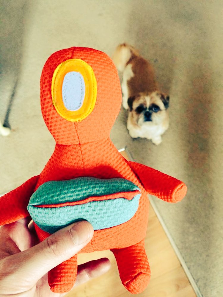 MikaPuddin's tweet image. New toy? Yes please!!! #monday #newtoy #dogsarelove #dogslife #shihtzu #cutenessOVERLOAD #CutestDogintheWorld #cuteanimals