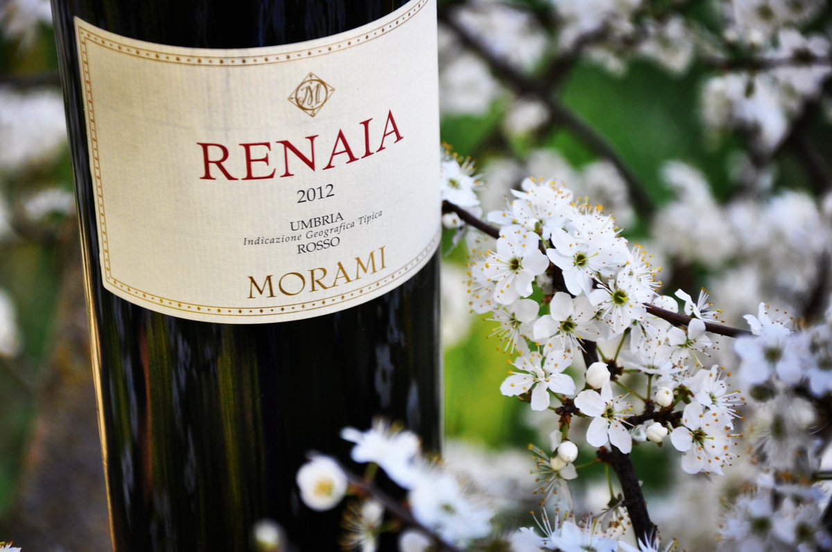 CantinaMorami's tweet photo. #spring #Renaia #Italia #Morami https://t.co/jQDOtEyx6H