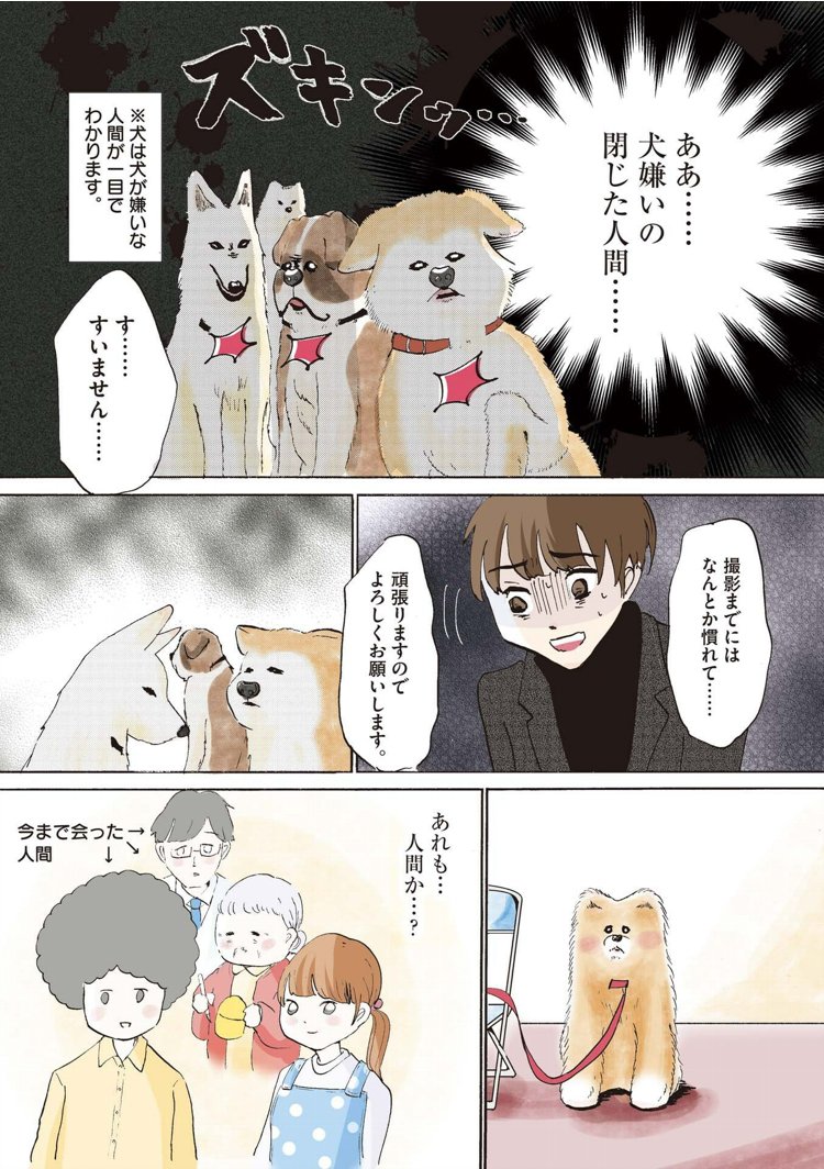 「いぬまみれ」にて「ワンジェーシー」の5話が掲載されました。
主人公の犬がドラマのオーディションを受ける話です。
試読https://t.co/4lCkuMDH7W
購入https://t.co/yTZfpUzpQR
そのうち電子版で1冊になりますので
またお知らせします?