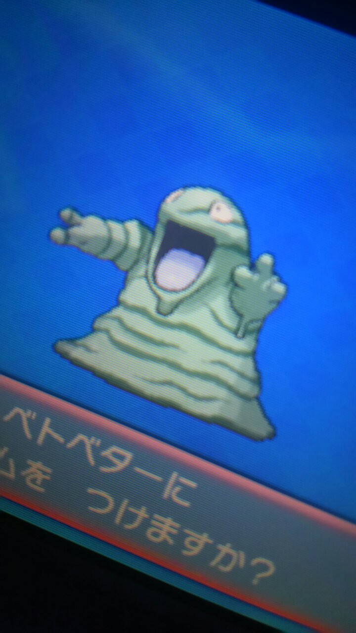 טוויטר グランバニア בטוויטר ポケモン交換 出 色 ゴルダック おっとり ダイブ ドガース ひかえめ ドリーム 観賞用 ベトベター ネスト 求 性格特性一致の色違い Nn無し日本産 進化前のみ海外産可 または配信ポケモンなど 明確な希望が無いので難しいかと思います