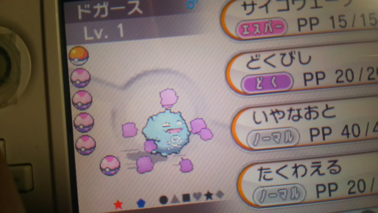 טוויטר 移転 בטוויטר ポケモン交換 出 色 ゴルダック おっとり ダイブ ドガース ひかえめ ドリーム 観賞用ベトベター ネスト 求 性格特性一致の色違い Nn無し日本産 進化前のみ海外産可 または配信ポケモンなど 明確な希望が無いので難しいかと思いますが提案