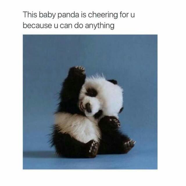 senapati_arya's tweet photo. Stay Strong. #Pandarights #PandasAreBAE💖 https://t.co/fZBWwGWMXW