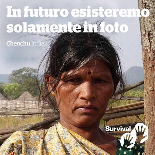 survivalitalia's tweet photo. Survival aiuta i popoli indigeni a difendere le loro vite, a proteggere le loro terre e a determinare autonomamente il loro futuro https://t.co/2xaIronGgR