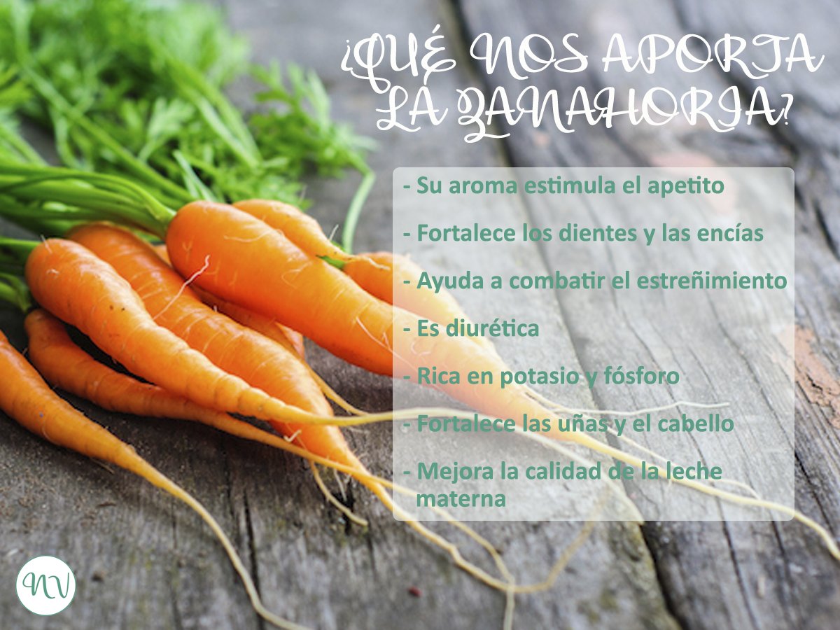 PatriNutreVida's tweet photo. La zanahoria, además de ayudar a mantener una buena salud ocular, aporta muchos beneficios: https://t.co/pfIMpwVFAi #NutreVida #Zanahoria https://t.co/ITVoBaxsni