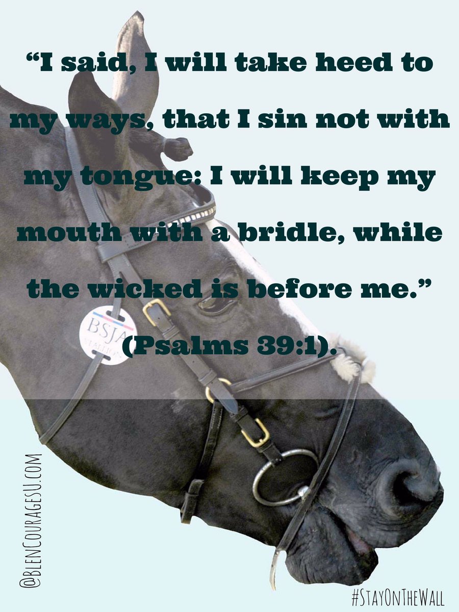 BlenCouragesU's tweet photo. The bit/bridle keeps the horse from opening his mouth too much. So does The Word of God &amp; YIELDING to the Holy Ghost. #PracticeRestraint https://t.co/UBgVW0apma