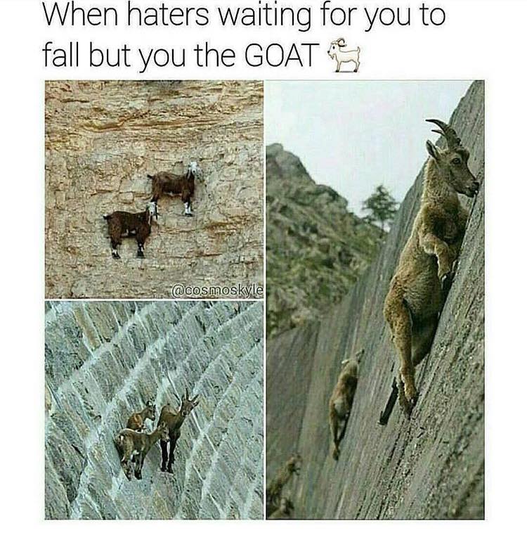 SmashHills's tweet photo. Be the goat ^_^ #MondayMotivation https://t.co/IDNrwZlbqh