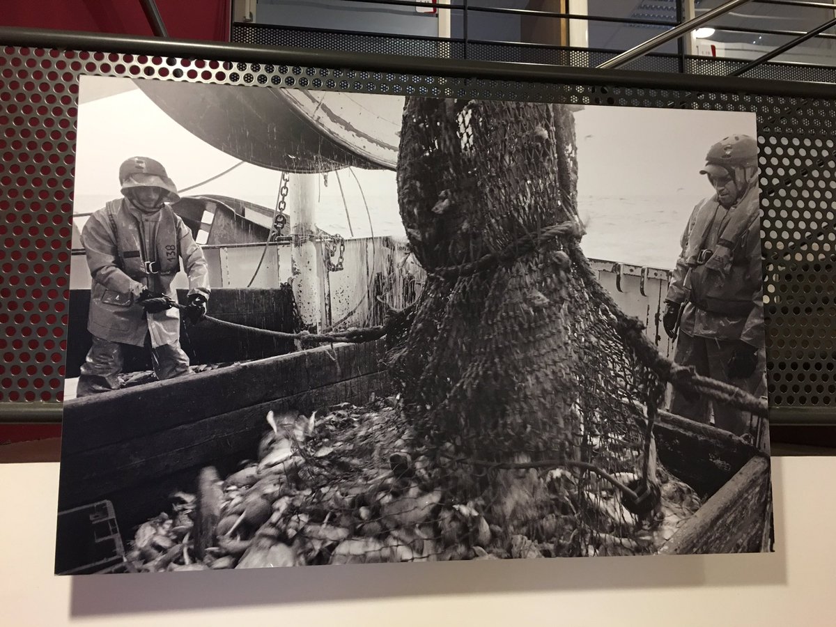 ArnaudFichou's tweet photo. #emploi #formation #poleemploi #semainedelamer exposition dans nos agences de st brieuc https://t.co/N1pPyewoON