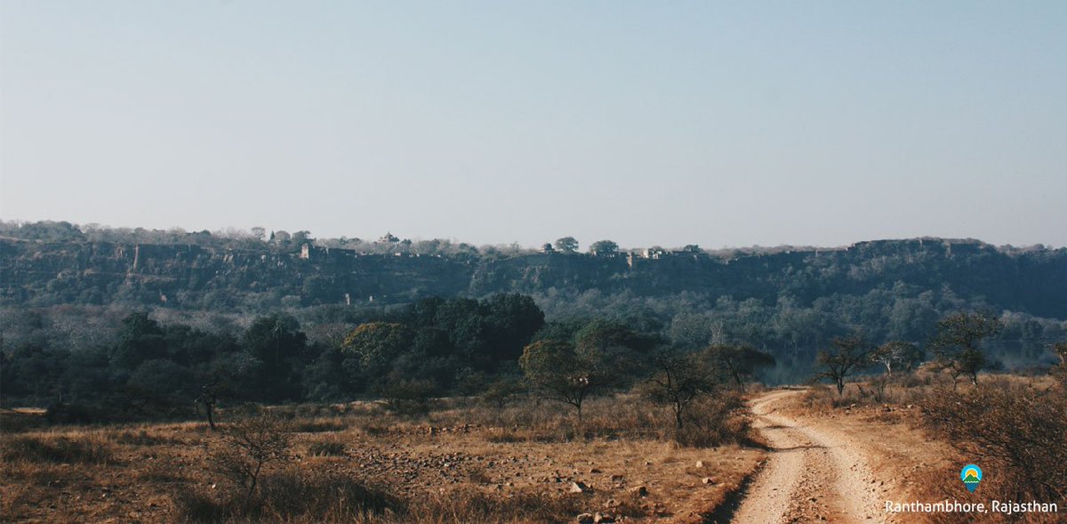 naturenama's tweet photo. Our today's #DiscoverDestination Ranthambhore is our pick as the quintessential Indian tiger jungle.

Photo: Shaunak Modi / Creative Commons https://t.co/RVDmMHQn7r