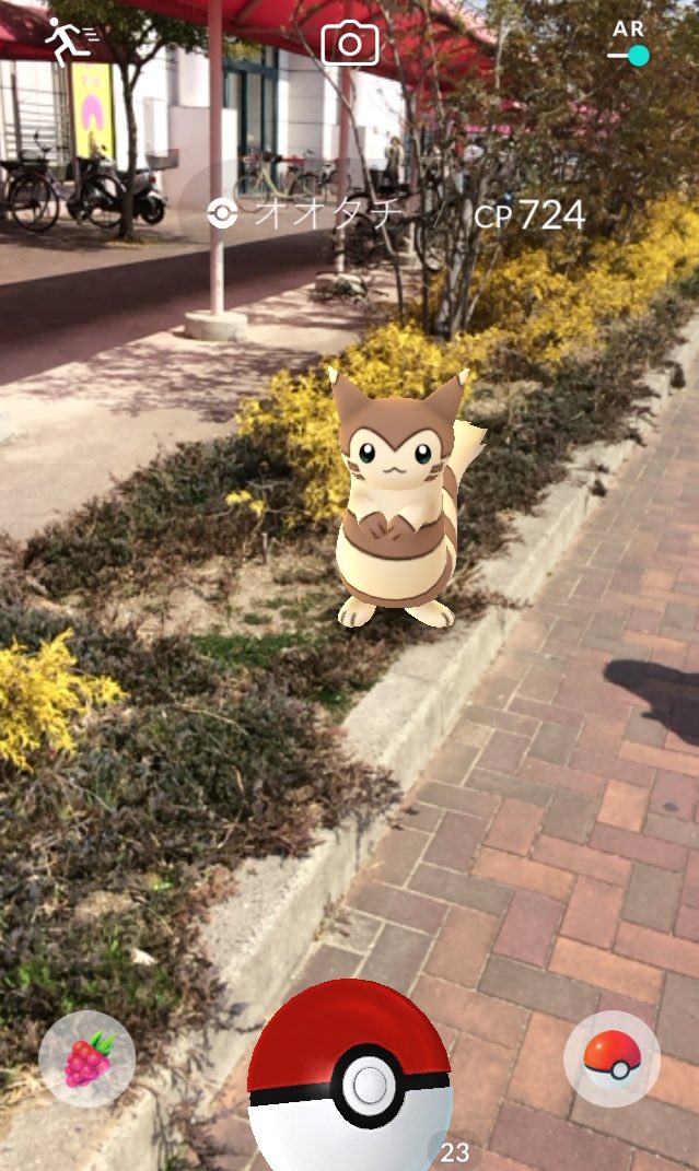 ポケモンgo オオタチ とかいうクッソあざとい最かわポケモンｗｗｗｗ 画像あり