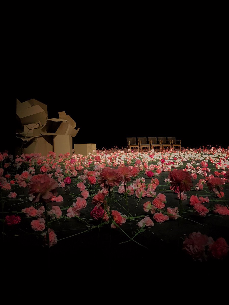 Sai A Twitter 昨日の カーネーション では 掻き乱される柔らかい心の内側のことをずっと考えていた 最初 舞台に整然と咲き誇る花畑は傷つけ 傷つけられる所から遠く離れていて 次第に踏みにじられていく ひと所にはいられない できるならアコーディオンの女性