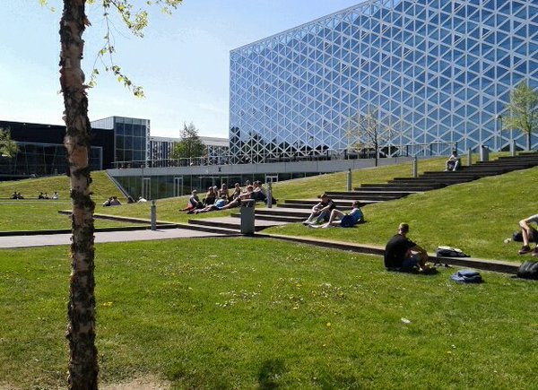 bertsleijster tweet picture