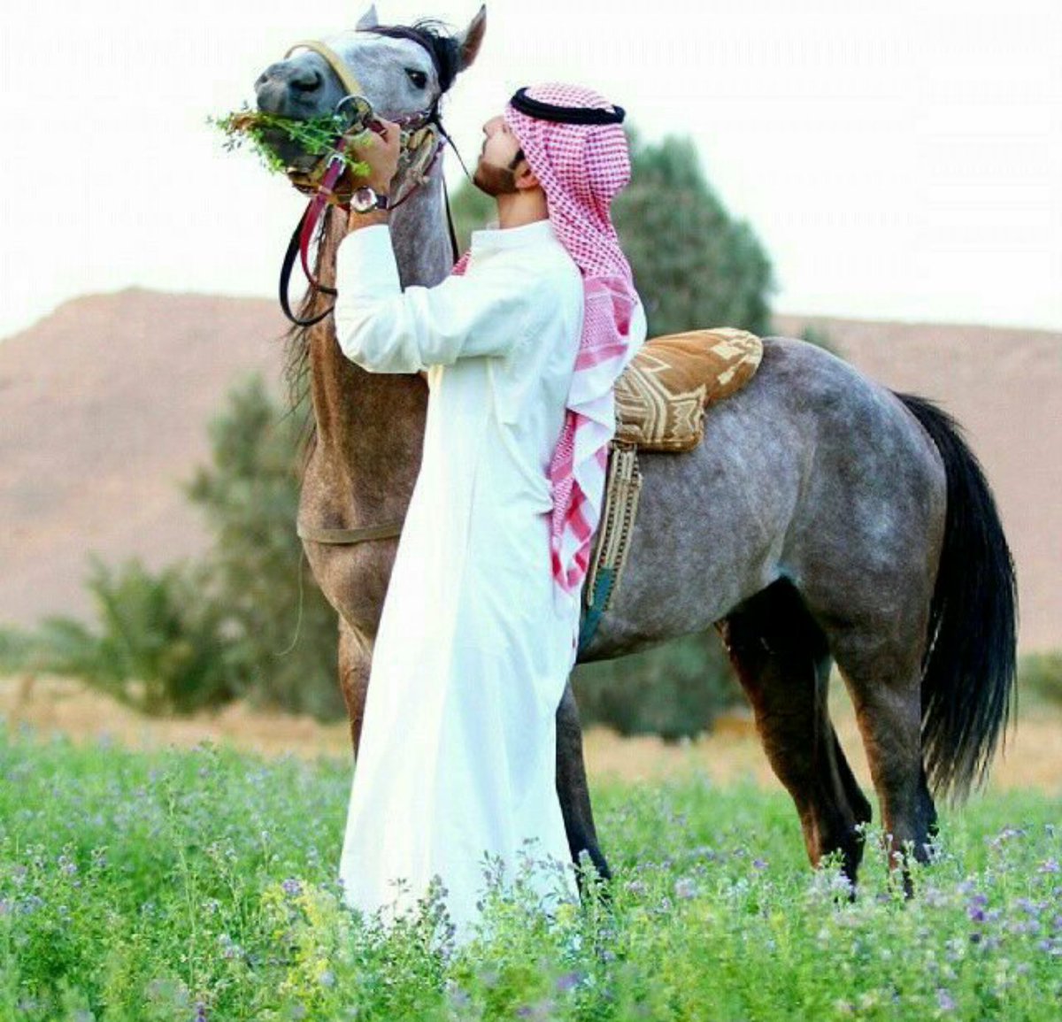 🐤النيه الطيبه من طيب منبعها..💛🌨️
وكل على قدر طيبه يسرج خيوله💕 💜💚💕🌹