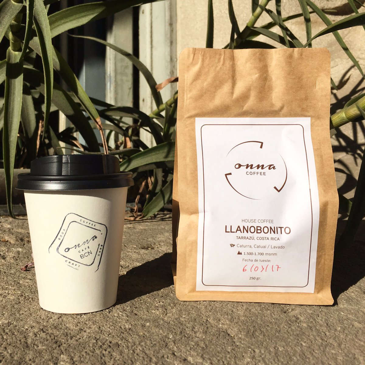 BCNbestof's tweet photo. Starting the week strong at @Onnacoffee https://t.co/iMtjD4Hon6