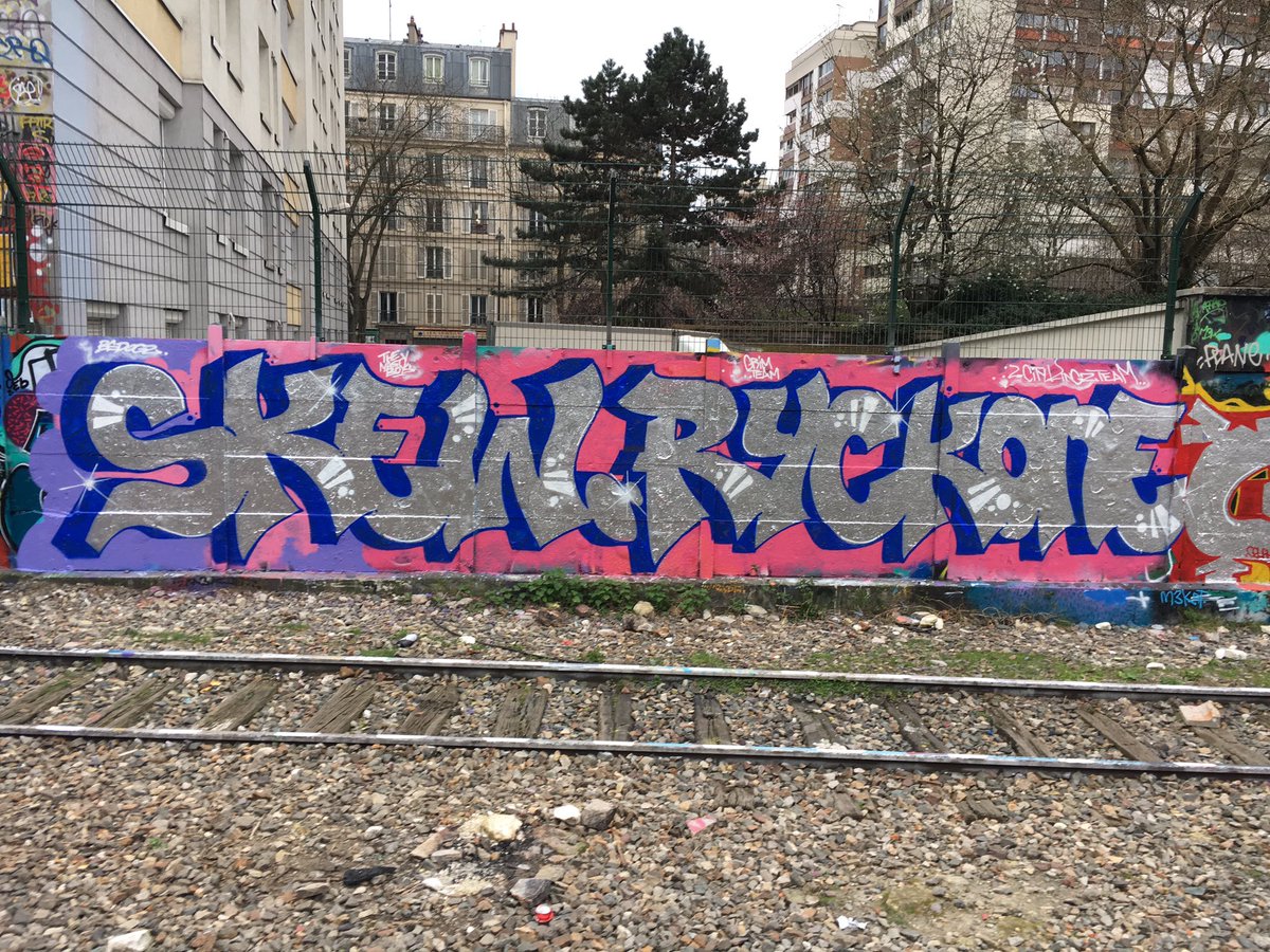 WHATYOUWRITE's tweet photo. #skew #ryck #paris #2017 #backstreetdogs https://t.co/m6vnUuS9js