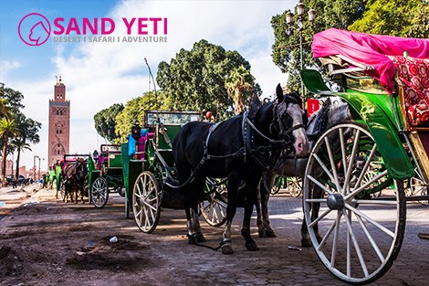 sandyetiapp's tweet photo. #sandyetiapp #marrakech #morocco #adventure #travelpics BOOK EXCURSIONS &amp; TOURS. https://t.co/tTDb5DCqTt