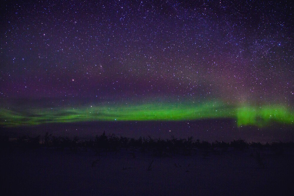 Voormedia tweet media