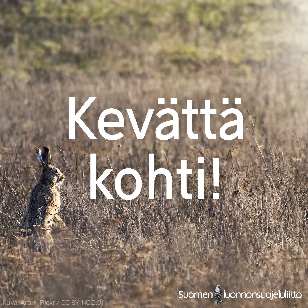 luonnonsuojelu's tweet photo. Hyvää #kevätpäiväntasaus'ta &amp; #onnellisuudenpäivä'ä! Huomenna on valoisampaa kuin eilen! #luonto #kevät #valo https://t.co/RDjxZ9YBuq