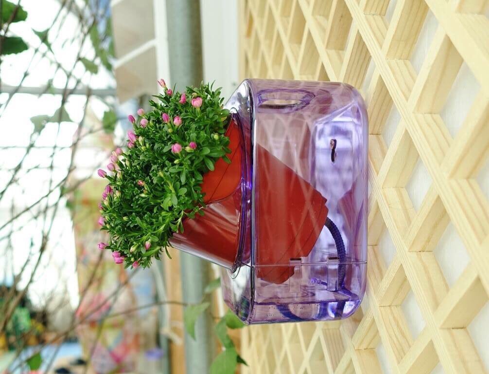 Clear container!

와우!
물이 다 보이네?
물 먹는게 다 보이네?

#투명화분 #수생식물화분 #에코포트 #나눔포트