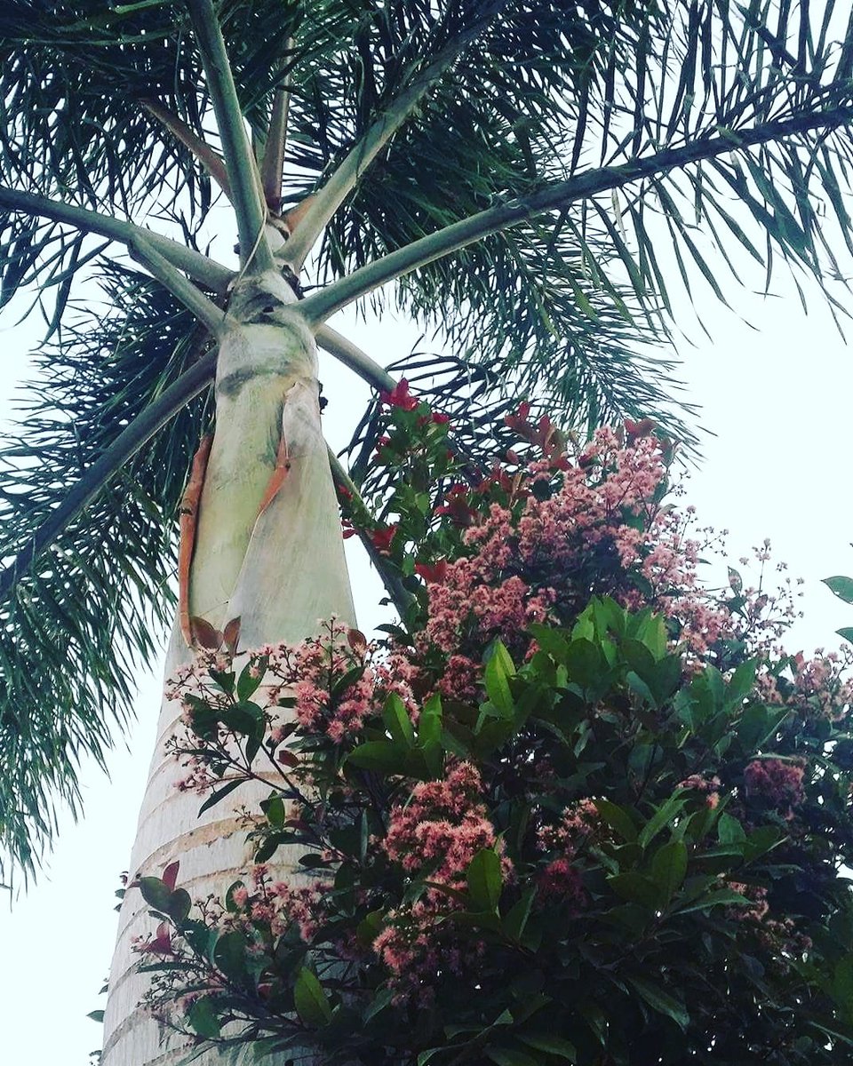 Tamonicks's tweet image. 