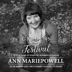 GdnsIllustrated tweet picture