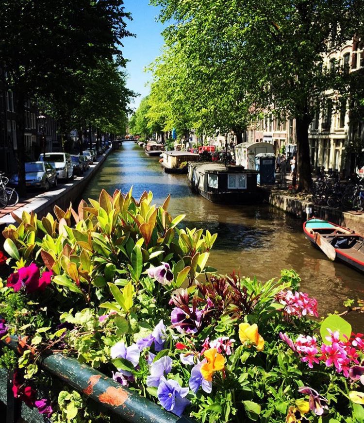 PottMuslima's tweet image. "Ich habe heute ein paar Blumen nicht gepflückt, um Dir ihr Leben zu schenken." (Morgenstern) #Fruehlingsanfang