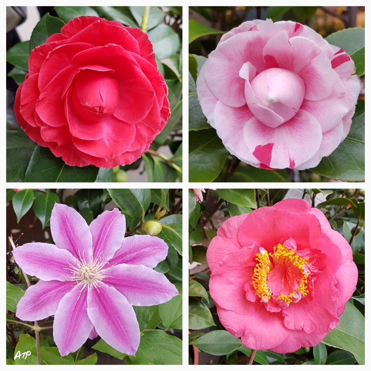 JardiniersDu4em's tweet photo. Equinoxe de Printemps 2017 à l'instant... le 20 mars à 10h28 38s https://t.co/xNa1SoA4F9