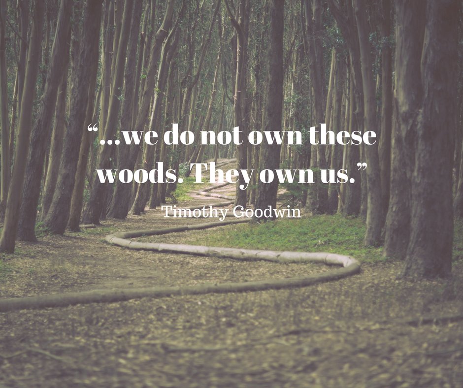 Eko Adria Pula (@ekopula) on Twitter photo 