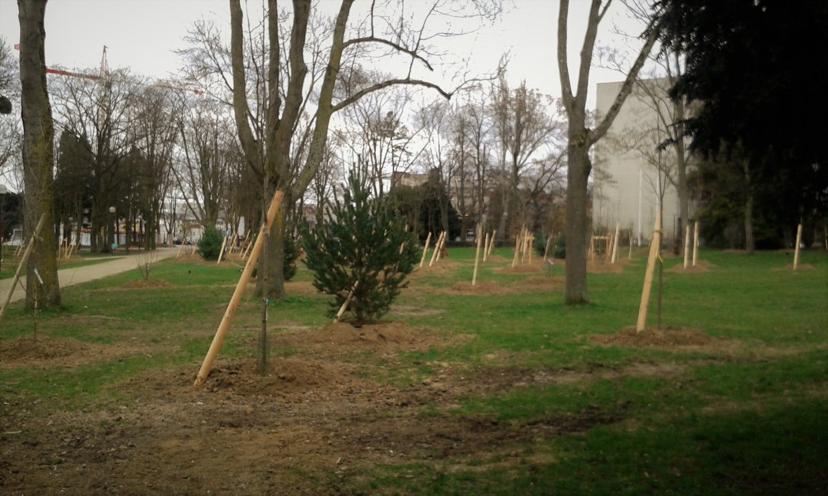 DecryptArt's tweet photo. @Decrypt-art. #CitéUniversitaire  Les troncs annoncent la forêt. Finie la sieste au soleil. https://t.co/x9EvJ71LVw