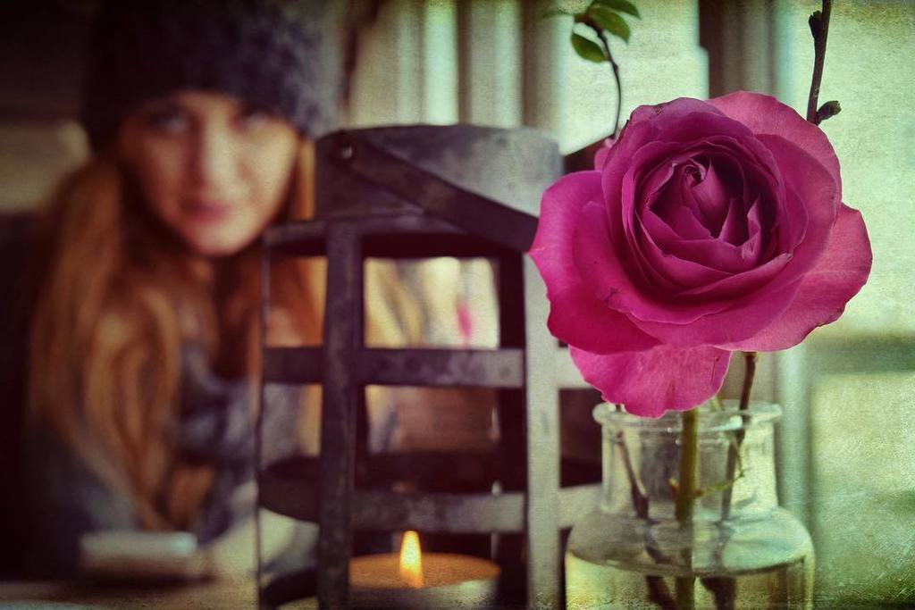 Gronkh's tweet image. "Der Name der Rose" - wie man sieht, ist Pan auf jeden Fall Traitor! 🌹😄❤️ #MorgenKaffee #Regentag