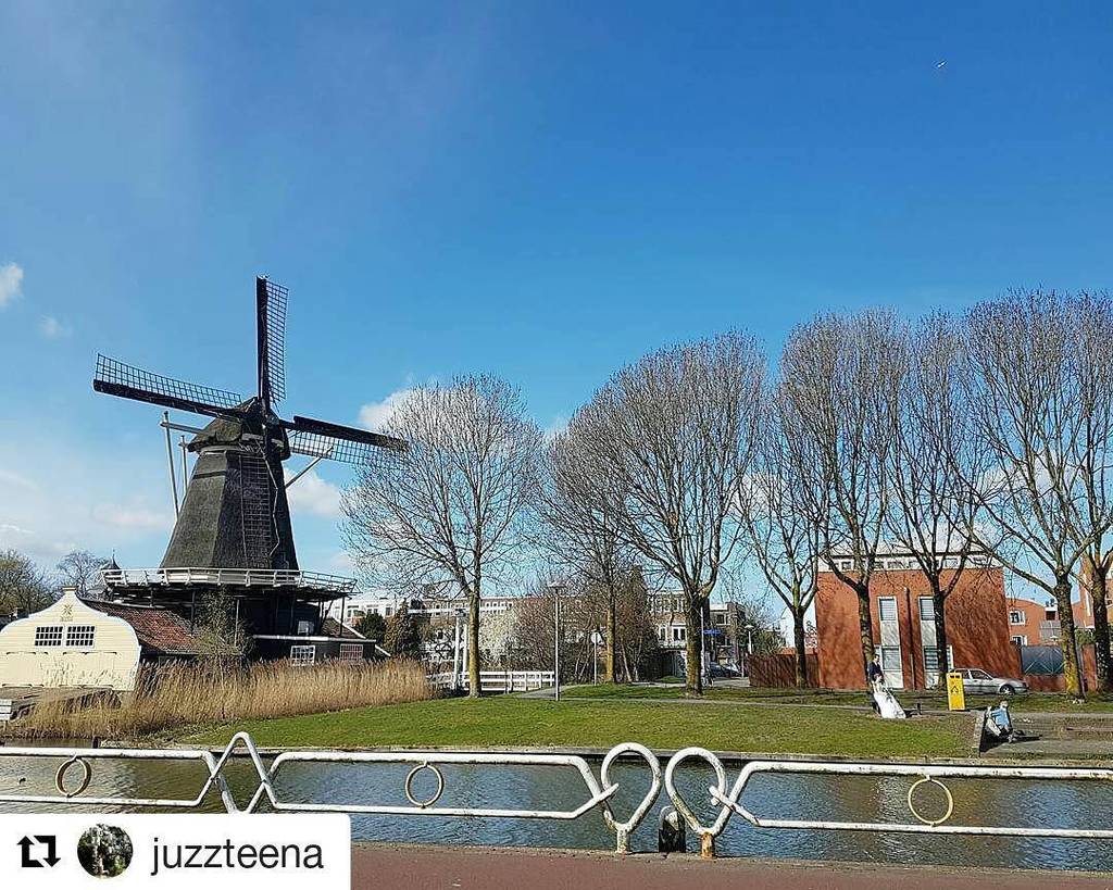 #RepostTime @juzzteena
・・・
Nothing good gets away 
#whenthebluewasback #utrecht #netherlan… ift.tt/2nrbUXE