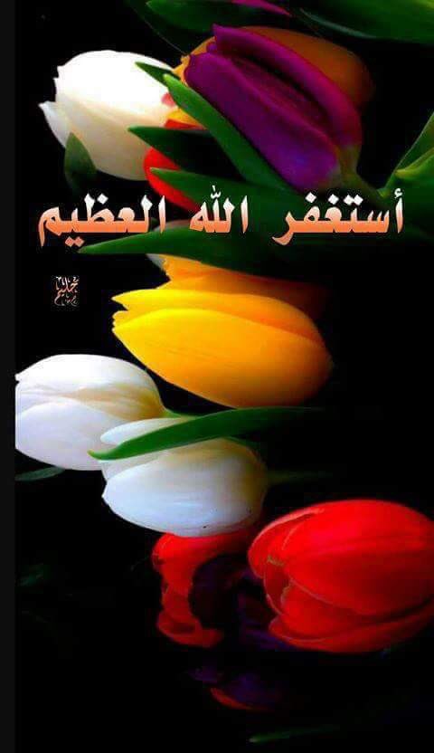 حسين علي (@hsen666vip) on Twitter photo 