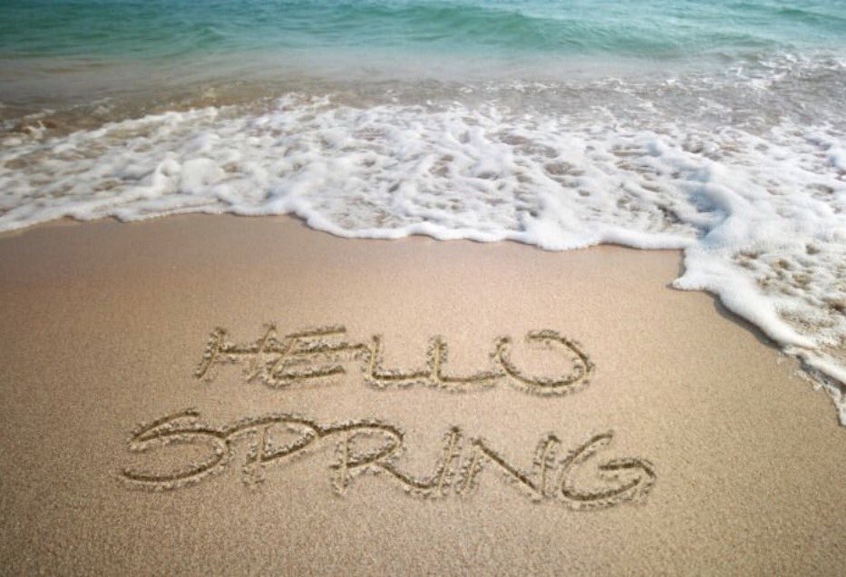 DunedinBeach's tweet photo. Happy Spring, Dunedin! https://t.co/7JLDY8UfQg
