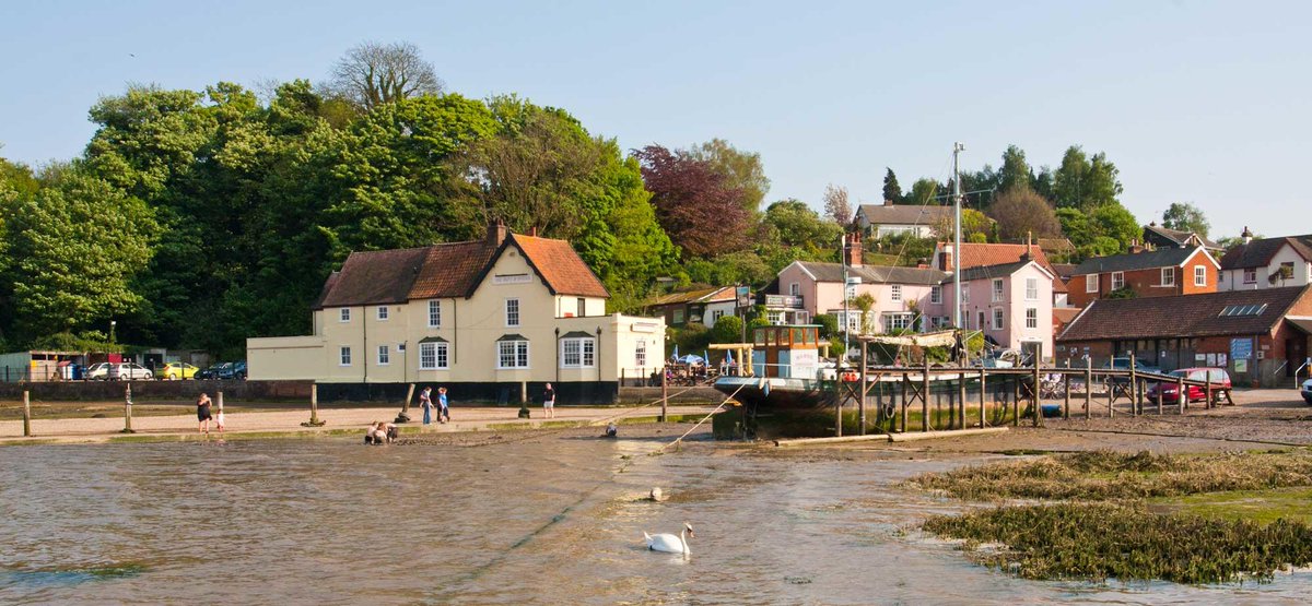 Year of Walking tweet media