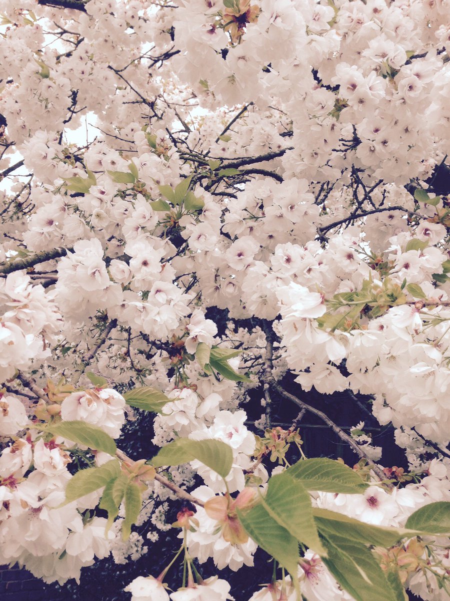 helenkrugerLBC's tweet image. If you've not yet booked for our #coffeecantata @CharterhouseEC1 April 11 then get on it! @LHandelFestival #springconcerts #handel #bach