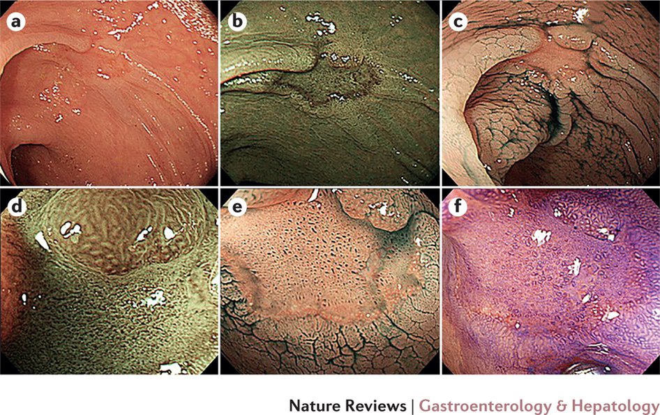 view nanocellbiology of secretion imaging its cellular