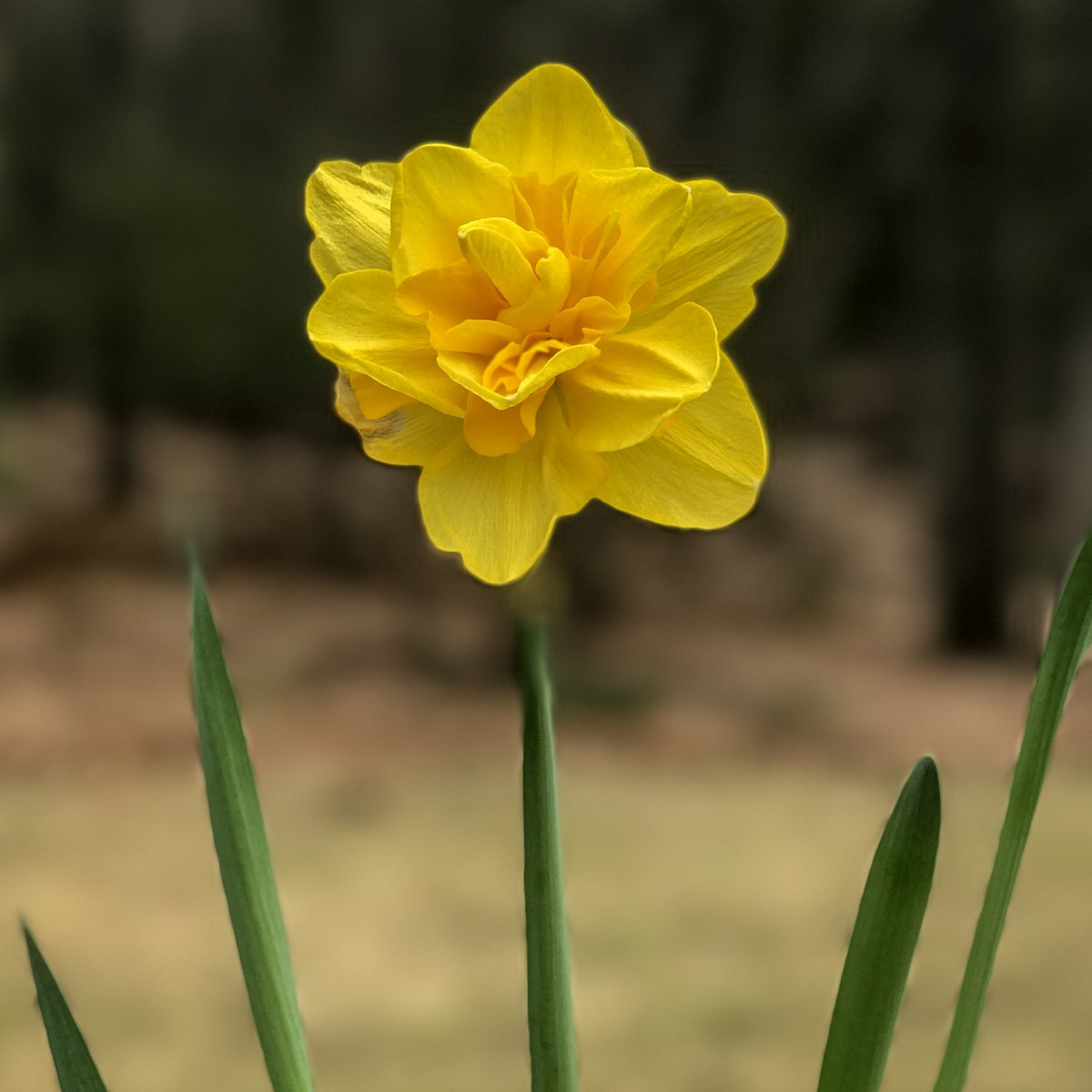 CurrentTCMI's tweet image. Spring is a time of rebirth and renewal, but not just for nature. We can help bring new life to your business. #firstdayofspring