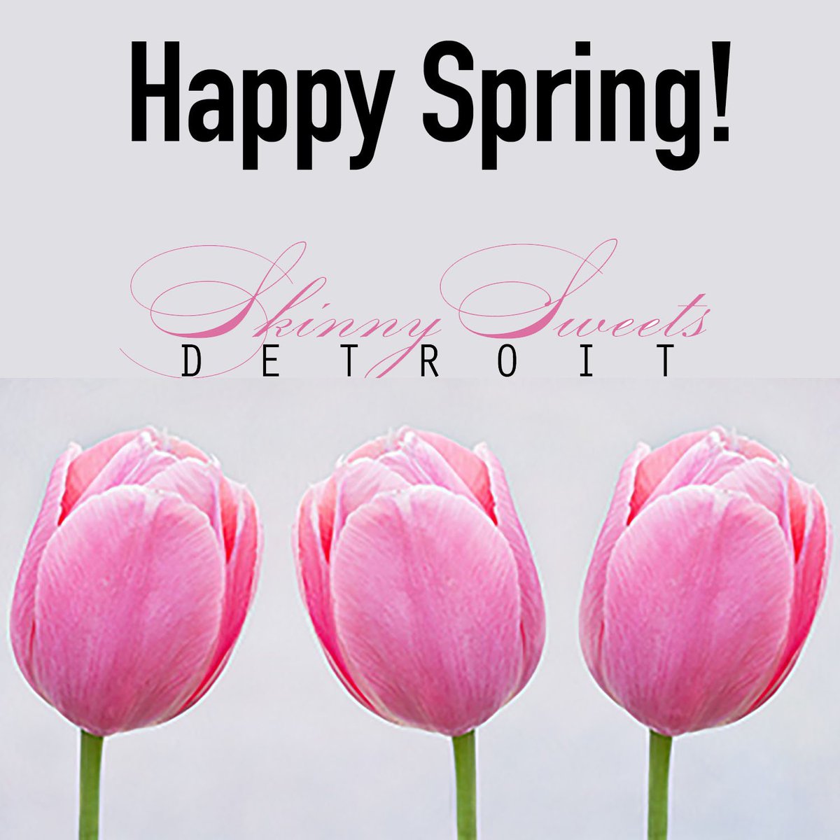 SkinnySweetsDET's tweet photo. Happy Spring, Detroit! #SkinnySweetsDetroit https://t.co/4gc5jsAxQB