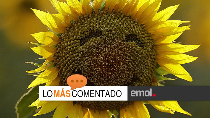 Emol's tweet photo. [Lo+Comentado] Chile es el país más feliz de Sudamérica: conoce qué nación lidera el nuevo ranking a nivel mundial https://t.co/Xb6X6P6WkR https://t.co/LqWSUjNsLE
