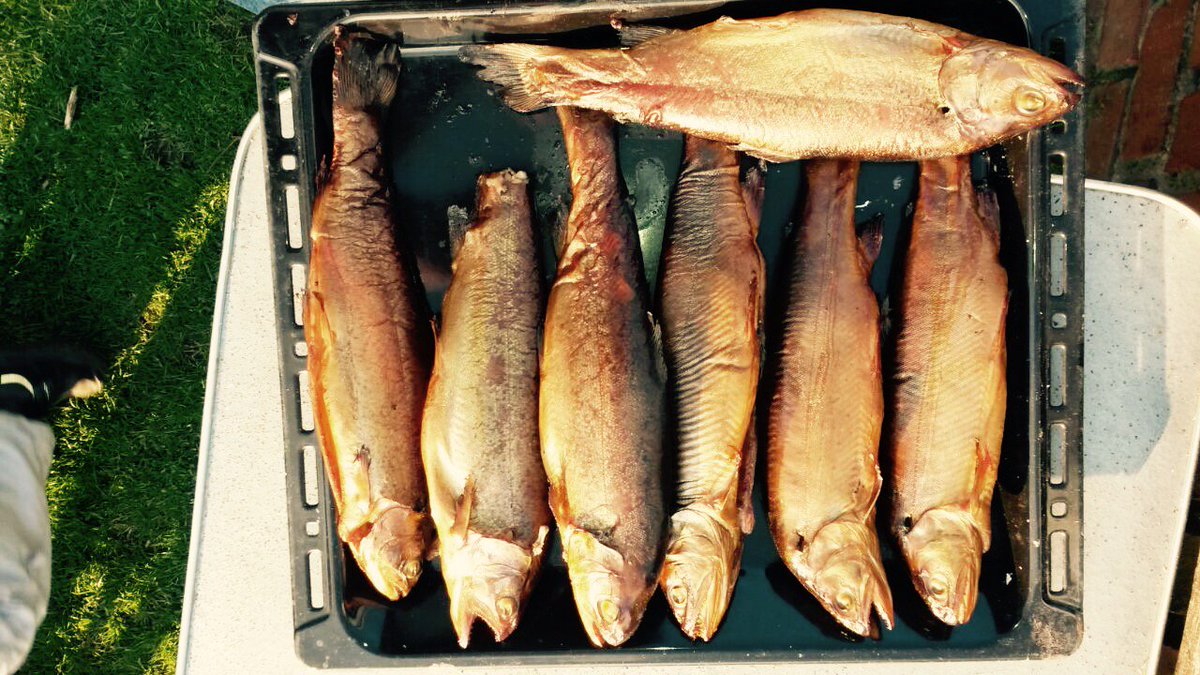 #Neukölln! Order your smoked fish tonight for pickup at #Agora #Marktschwärmer on Wednesday! <a href="/foodassembly/">Irish Food Champions Assembly</a> <a href="/marktschwaermer/">Marktschwärmer</a> #foodassembly